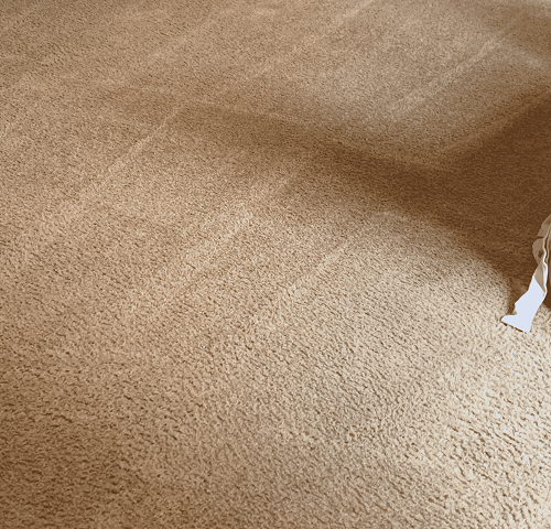 Carpet Cleaning