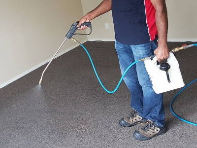 Carpet-Cleaning