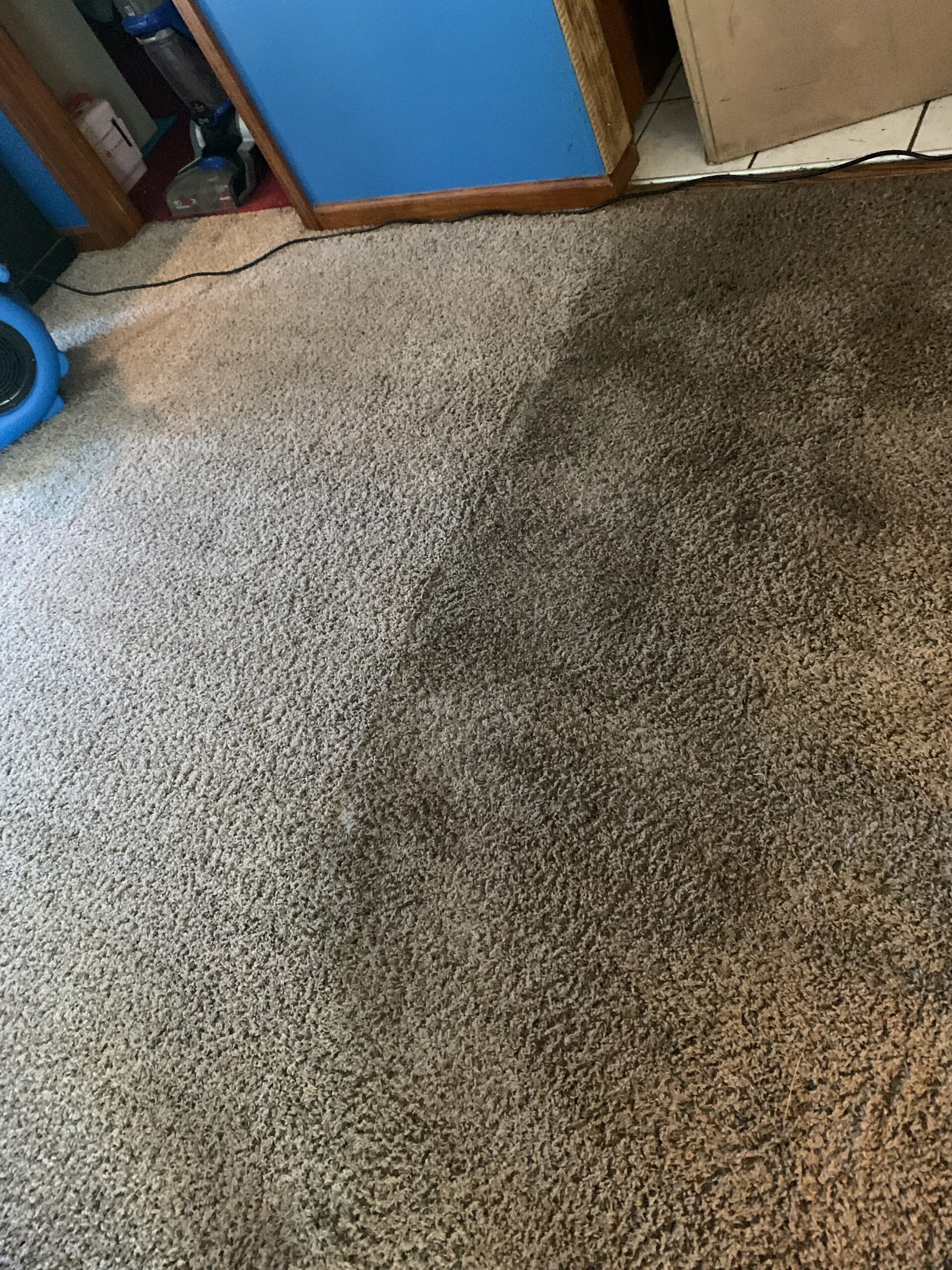 Carpet cleaning